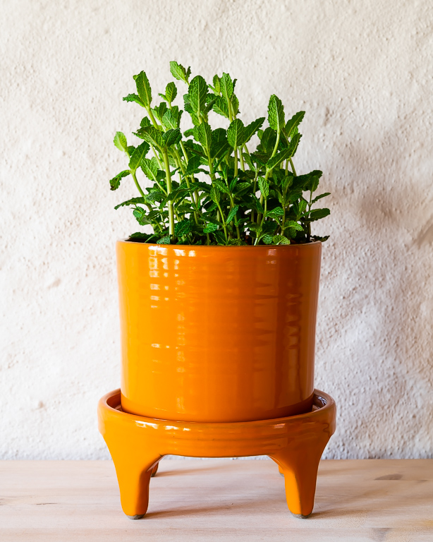 Orange cylinderkarl på fat, keramik av Elna-Karin Helgesson