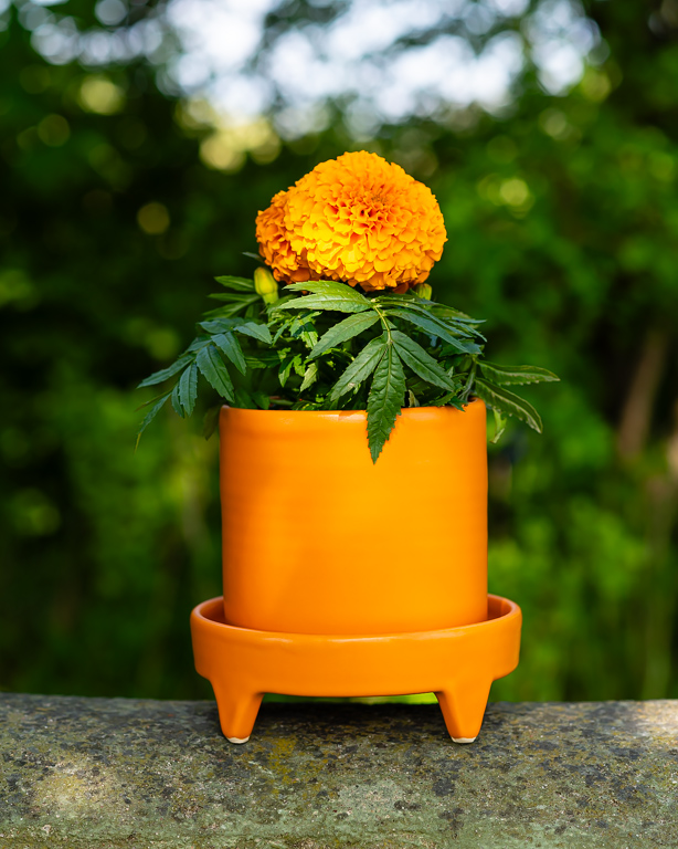 Orange cylinderkruka, keramik av Elna-Karin Helgesson.